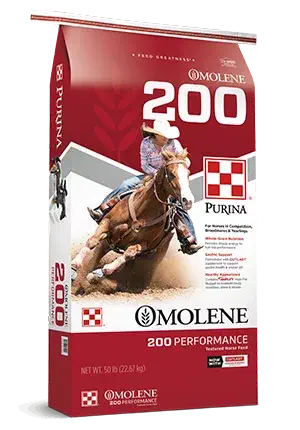 Horse_Omolene200