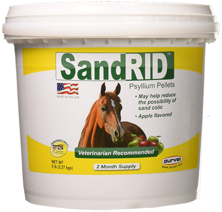 SandRid-equine